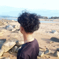 leducvnpy
