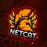 netcat