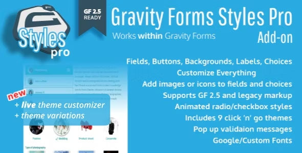Gravity Forms Styles Pro