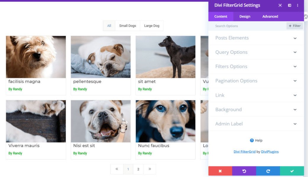 Divi FilterGrid