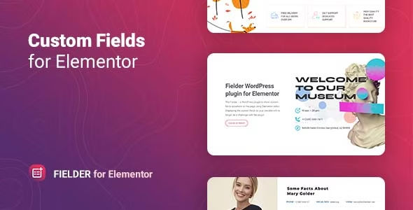 Fielder WordPress Custom Fields for Elementor