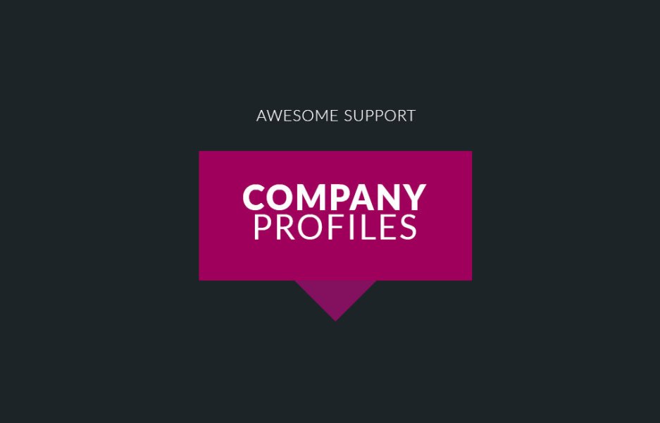 awesome support company profiles