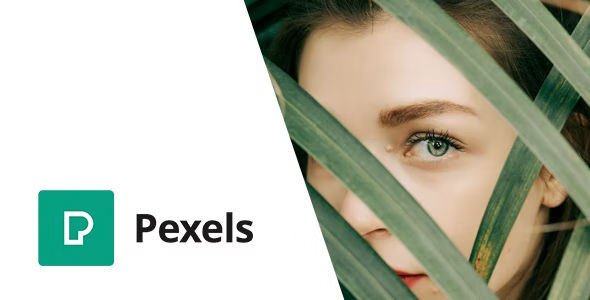 Pexels Import Free Stock Images into WordPress