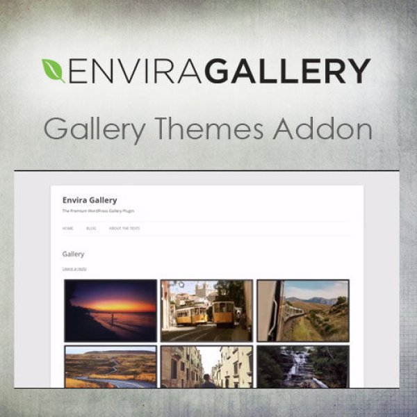 Envira Gallery Themes Addon