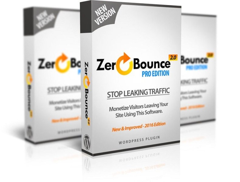 Zero Bounce Pro - Redirect User After Clicking The browser Back Button