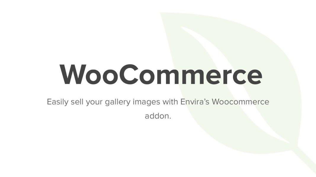 Envira Gallery - WooCommerce