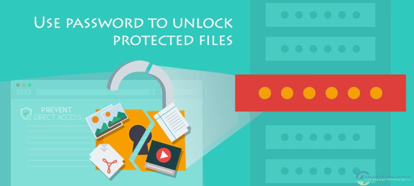 Prevent Direct Access Password Protect WordPress