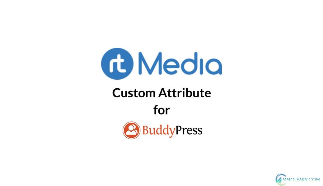 rtMedia Custom Attributes
