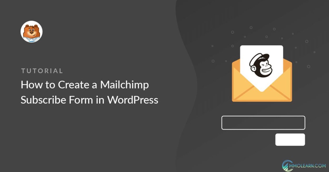 Live Form MailChimp Subscription