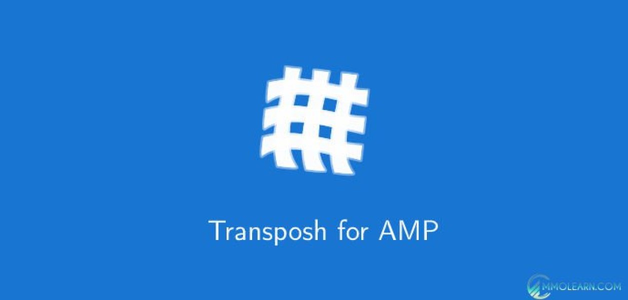 Transposh for AMP