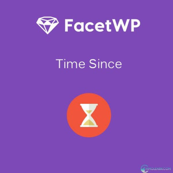 FacetWP Time Since Addon
