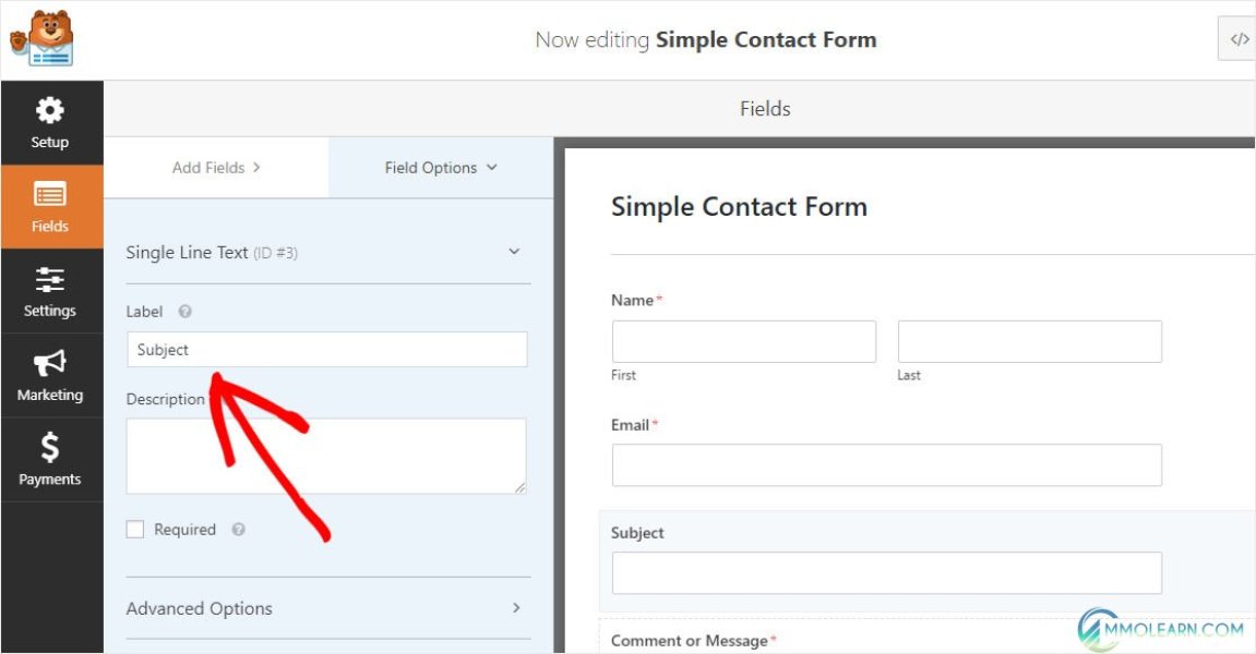 Contact Form for AMP