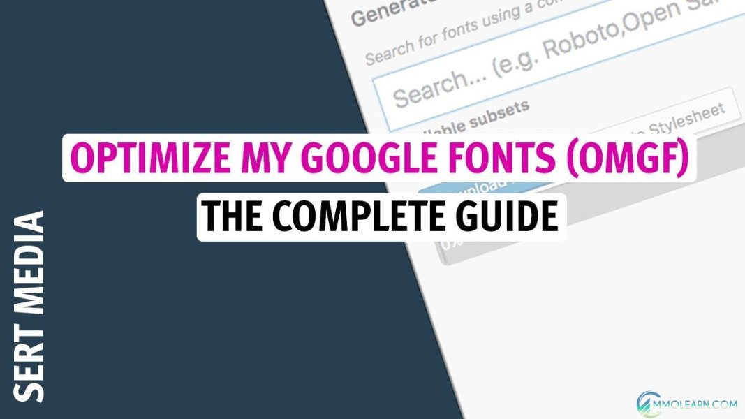 OMGF Pro - Host Google Fonts Locally for Wordpress
