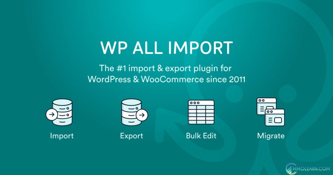 WP All Import Multilingual