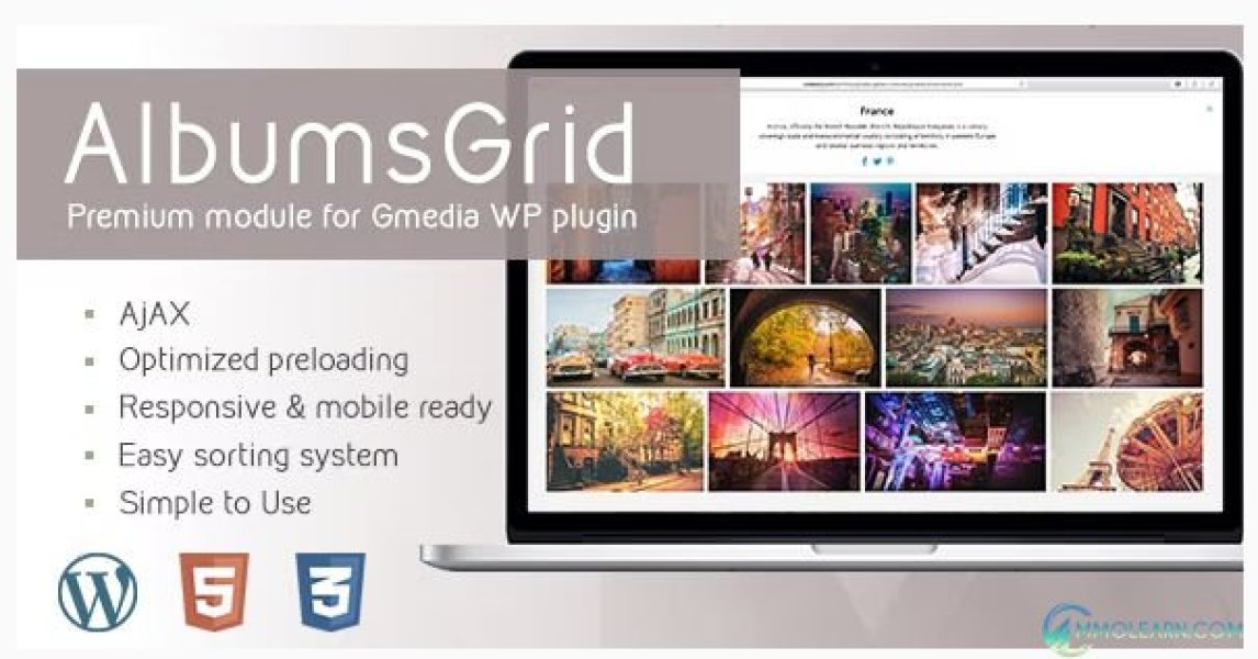 AlbumsGrid Gallery Module for Gmedia plugin