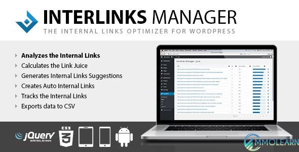 Interlinks Manager