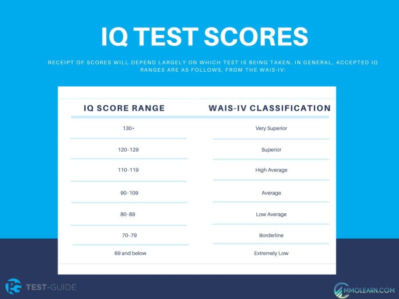 Test Your IQ