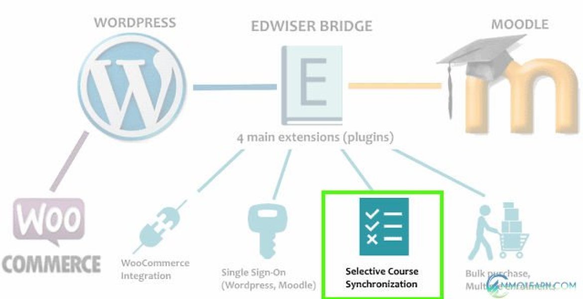 Edwiser Selective Synchronization