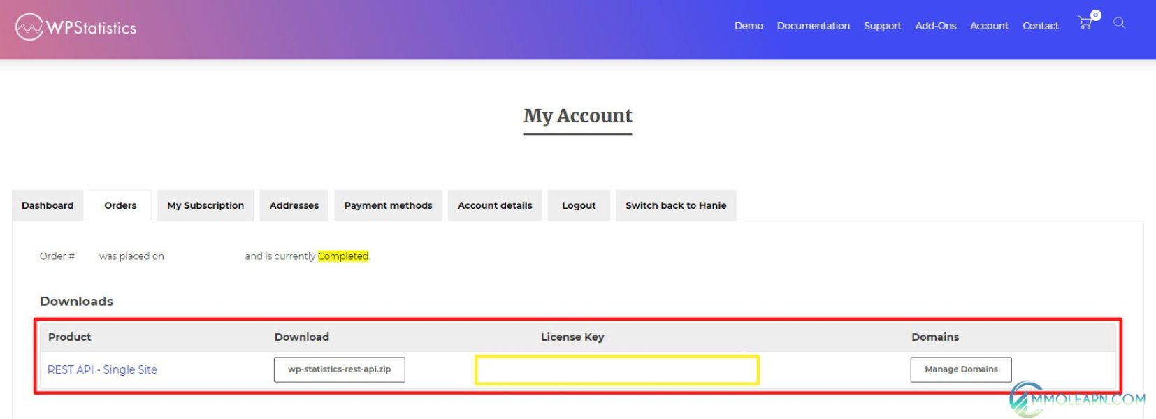 WP Statistic REST API