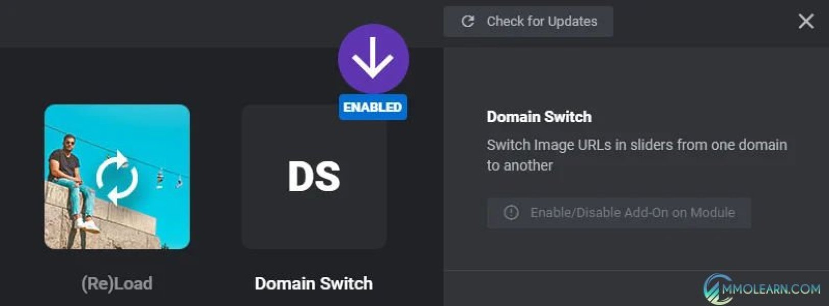 Revslider Domain Switch AddOn