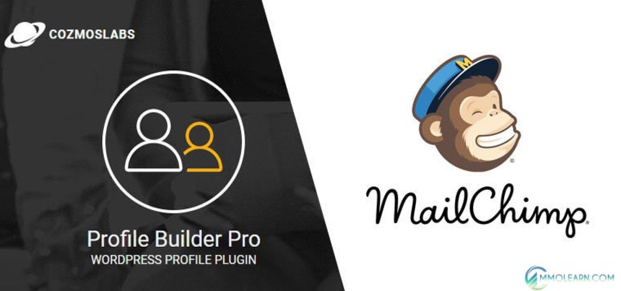 Profile Builder - MailChimp Add-On