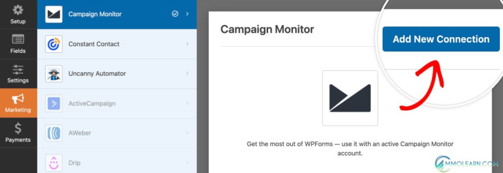 WS Form Campaign Monitor