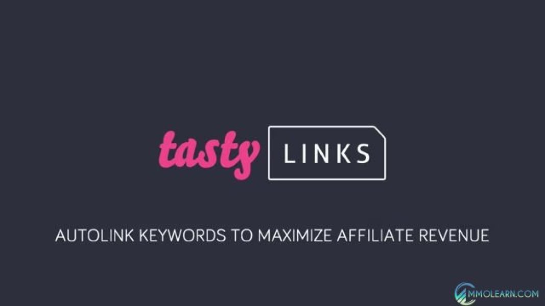 Tasty Links - Automatically link keywords…