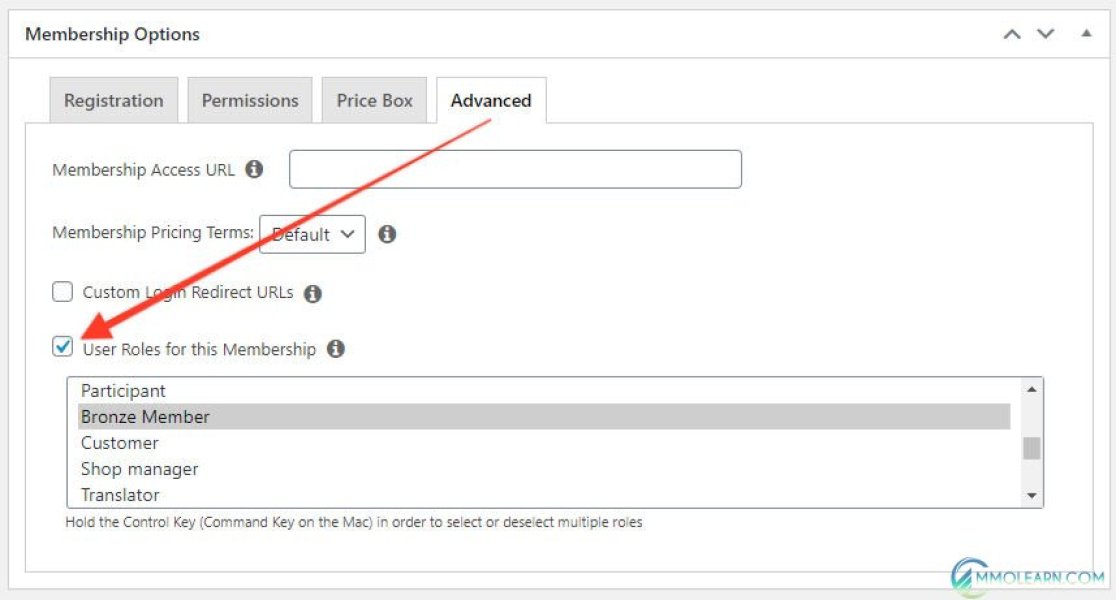 MemberPress WordPress User Roles