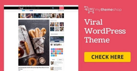 Viral - WordPress Theme For Social Media Marketers