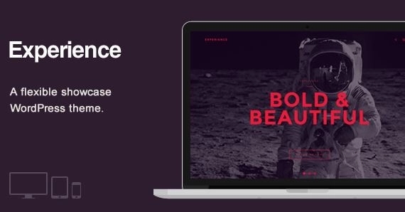 Experience - Showcase WordPress Theme