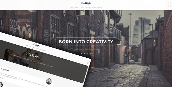 Calliope - Portfolio & Agency WordPress Theme Go to download