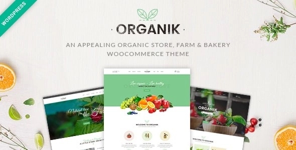 Organik - Organic Food Store WordPress Theme