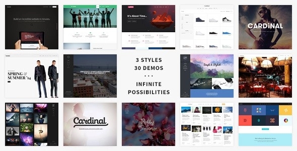 Cardinal - WordPress Theme