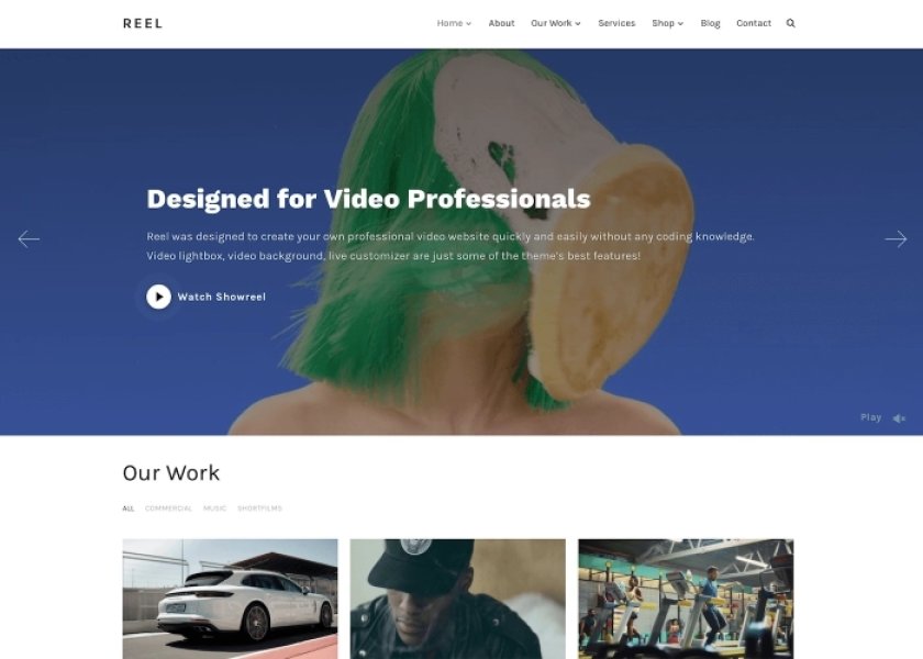 Reel - WPZoom WordPress Theme - create your own professional video website quickly