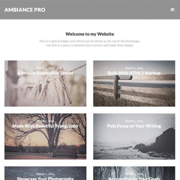 StudioPress - Ambiance Pro Theme