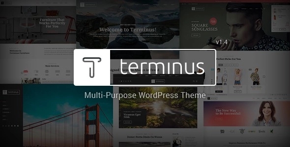 Terminus - Responsive Multi-Purpose WordPress Theme